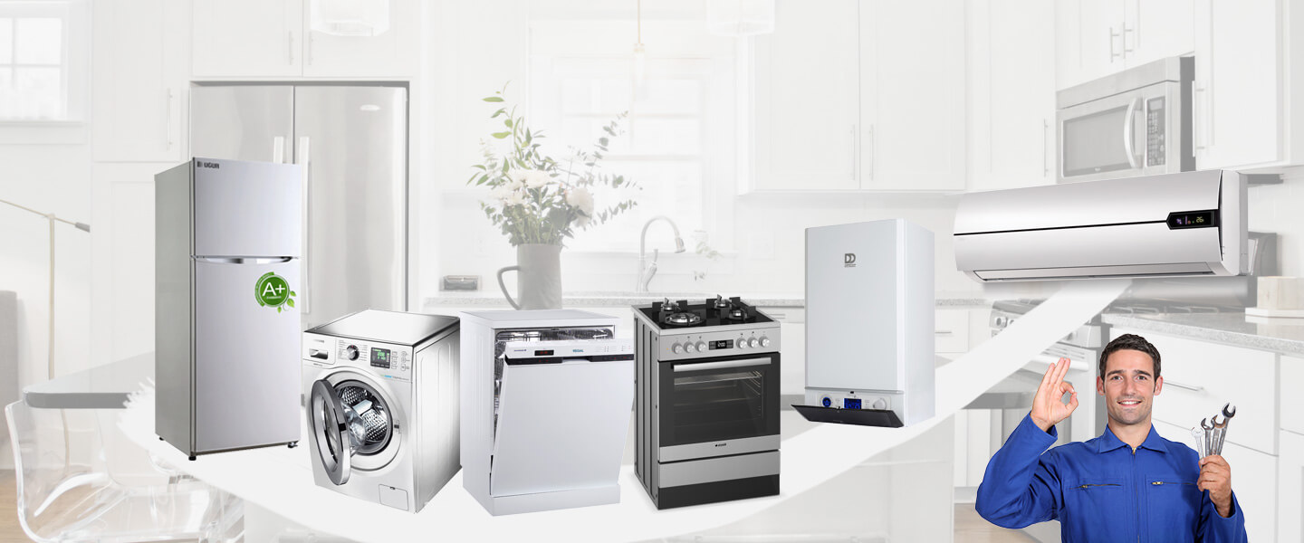 Bandırma Silverline Servisi